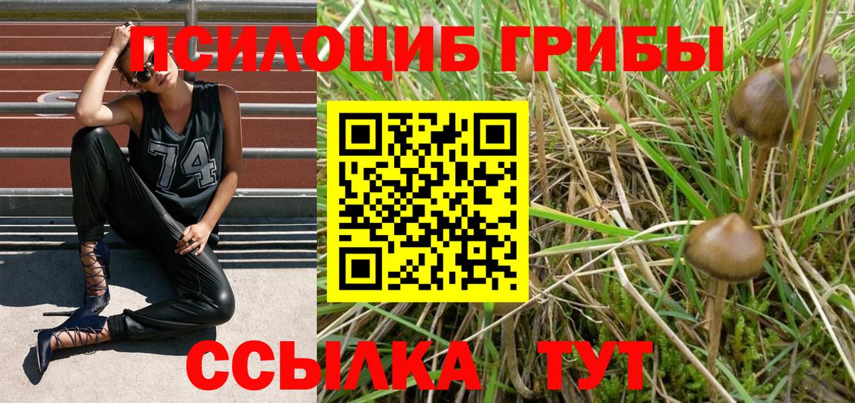 Галлюциногенные грибы мухоморы Минусинск