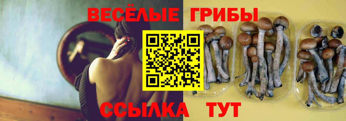 Галлюциногенные грибы MAGIC MUSHROOMS  Вход с VPN  Минусинск 